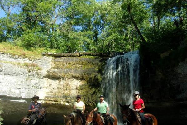 Randonnée à cheval dans le jura